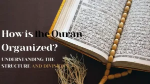 How is the Quran Organized Understanding the Structure and Divisions