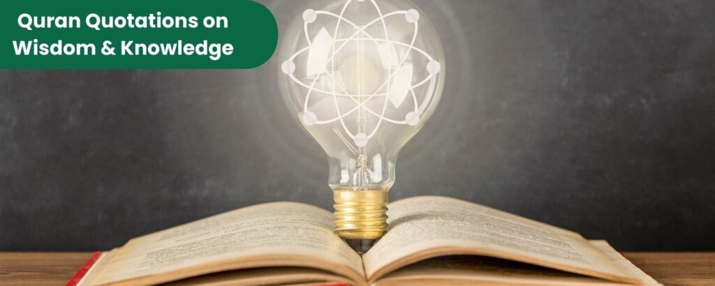 Quran Quotations on Wisdom & Knowledge