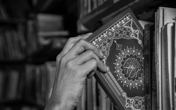 Quran Recitation Courses